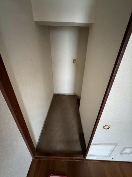 �����s�����q�s���c���̒��Ã}���V�����̂��̑�����