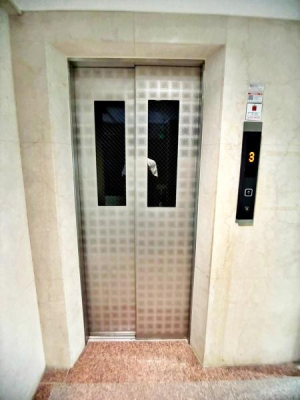 �����s���n��L�ʏ�2���ڂ̒��Ã}���V�����̂��̑����p��