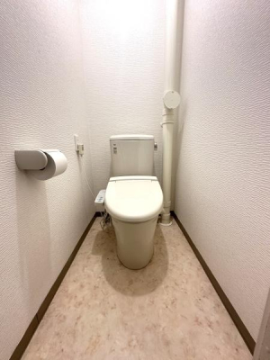 �����s�����q�s���c���̒��Ã}���V�����̃g�C��