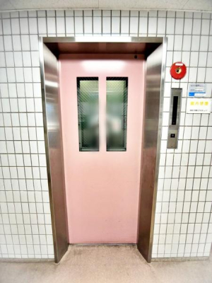 �����s����擌����3���ڂ̒��Ã}���V�����̂��̑����p��