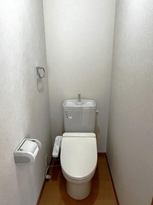 �����s���n��x�m����3���ڂ̒��È�ˌ��Ẵg�C��