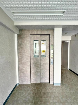 �����s���n������u5���ڂ̒��Ã}���V�����̂��̑����p��