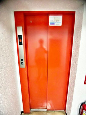 �����s�����{��3���ڂ̒��Ã}���V�����̂��̑����p��