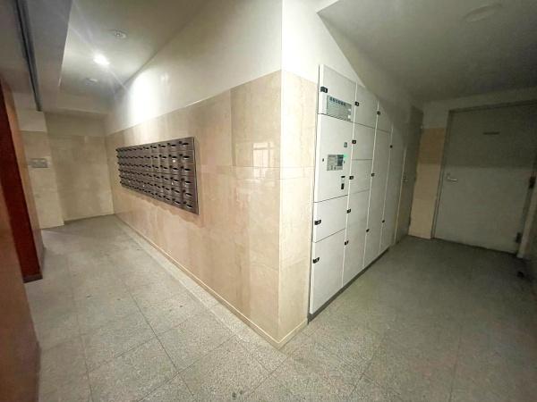 �����s����s�����u1���ڂ̒��Ã}���V�����̂��̑����p��