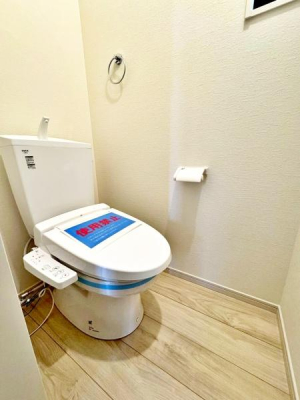 �����s�����q�s���c���̐V�z��ˌ��Ẵg�C��