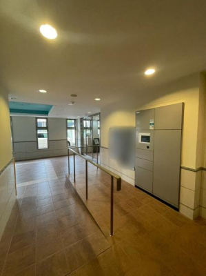 �����s�����q�s���؂̒��Ã}���V�����̂��̑����p��