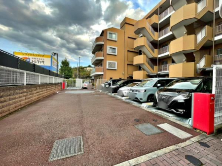 �����s�����q�s���؂̒��Ã}���V�����̉摜