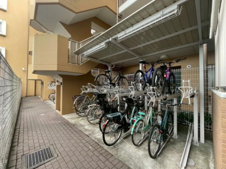 �����s�����q�s���؂̒��Ã}���V�����̂��̑����p��