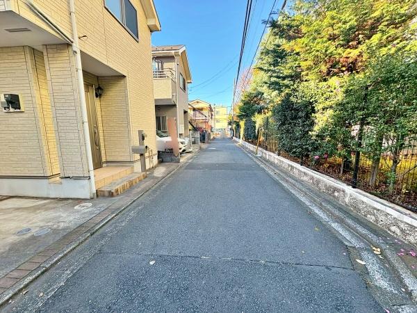 �����s�����q�s���q���̒��È�ˌ��Ă̑O�ʓ��H�܂ތ��n�ʐ^