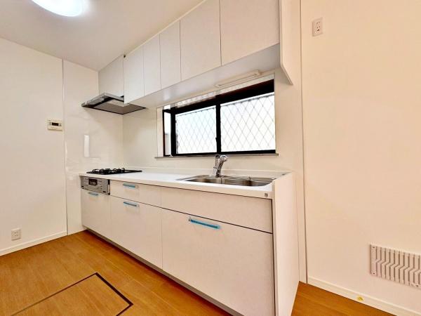 �����s�����q�s�l�J���̒��È�ˌ��ẴL�b�`��