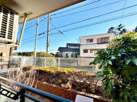 sqs䒬1ڂ̒Ã}ṼoRj[