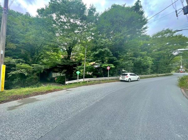 sqsR̓yn̑OʓH܂ތnʐ^