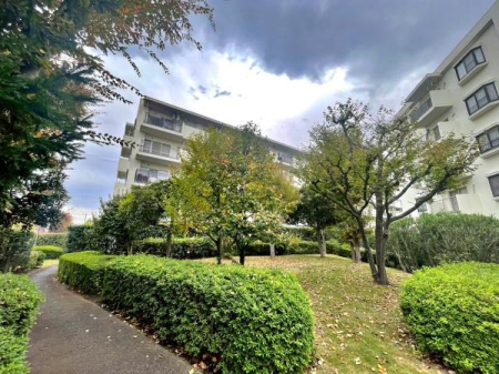 �����s����s�_��2���ڂ̒��Ã}���V�����̂��̑����n