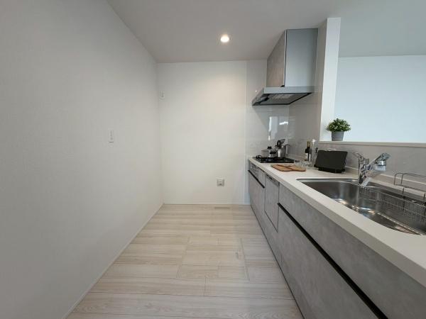 �����s�����q�s�󕪕����̐V�z��ˌ��ẴL�b�`��