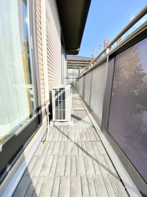 �����s�����q�s�Бq���̒��È�ˌ��Ẵo���R�j�[