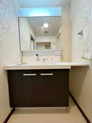 s~sV9ڂ̒Ã}V̐ʑEʏ