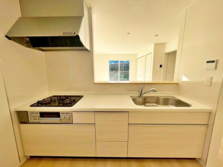 �����s�����q�s�������q��2���ڂ̐V�z��ˌ��ẴL�b�`��