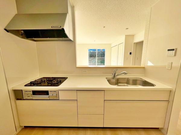 �����s�����q�s�������q��2���ڂ̐V�z��ˌ��ẴL�b�`��