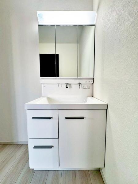 sqsxm̐VzˌĂ̐ʑEʏ