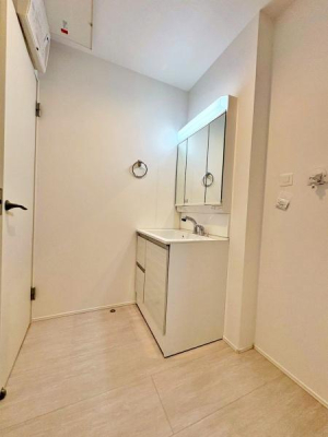 �����s�����q�s���{���̐V�z��ˌ��Ă̐��ʑ�E���ʏ�