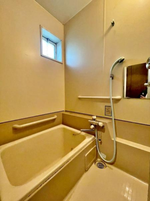 �����s�����q�s�v�ێR��2���ڂ̒��Ãe���X�n�E�X�̗���