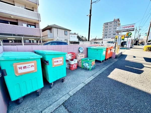 �����s�����q�s�z��̒��Ã}���V�����̂��̑����p��