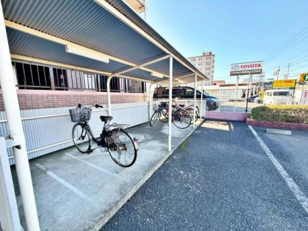 �����s�����q�s�z��̒��Ã}���V�����̂��̑����p��