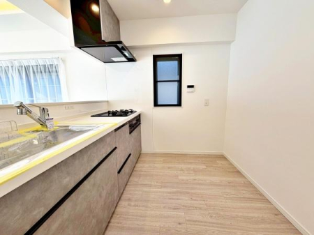 �����s�����q�s�z��̒��Ã}���V�����̃L�b�`��