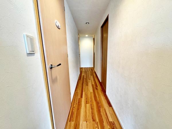 �����s�����q�s���c���̒��Ã}���V�����̂��̑�����