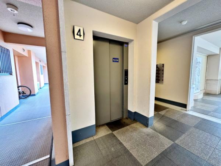 �����s�����q�s���c���̒��Ã}���V�����̂��̑����p��