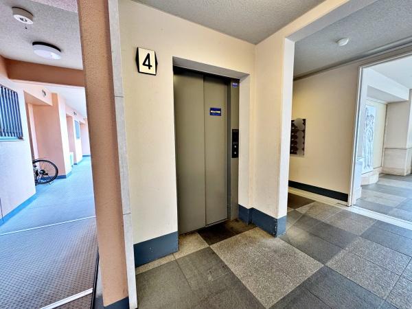 �����s�����q�s���c���̒��Ã}���V�����̂��̑����p��