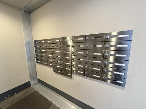 �����s�����q�s���c���̒��Ã}���V�����̂��̑����p��