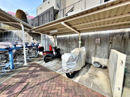 �����s�����q�s���c���̒��Ã}���V�����̂��̑����p��