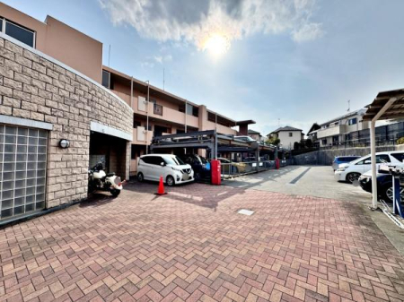 �����s�����q�s���c���̒��Ã}���V�����̉摜