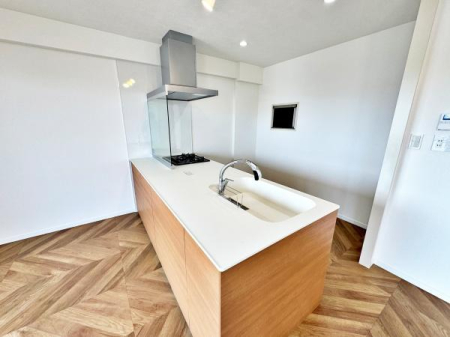 �����s�����q�s���c���̒��Ã}���V�����̃L�b�`��