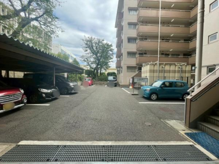 �����s�����q�s���c���̒��Ã}���V�����̉摜