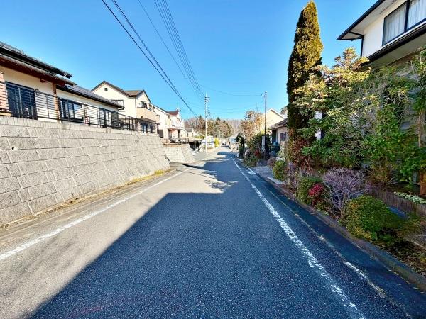 �����s�����q�s�������q��2���ڂ̒��È�ˌ��Ă̑O�ʓ��H�܂ތ��n�ʐ^