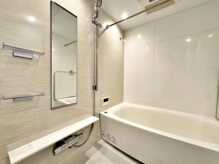 �����s�����q�s�������̒��Ã}���V�����̗���