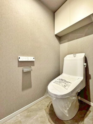 �����s�����q�s�������̒��Ã}���V�����̃g�C��