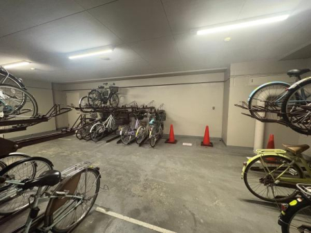 �����s�����q�s���R���̒��Ã}���V�����̂��̑����p��