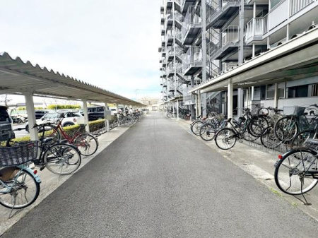 �����s�~�s�V��9���ڂ̒��Ã}���V�����̂��̑����p��