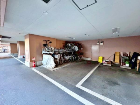 �����s�����q�s���R���̒��Ã}���V�����̂��̑����p��