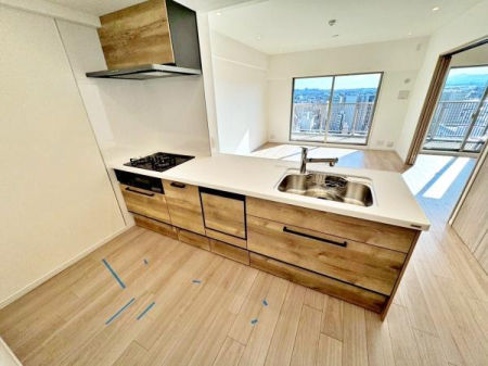 �����s�����q�s���R���̒��Ã}���V�����̃L�b�`��