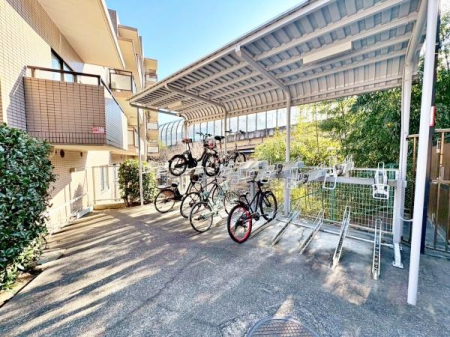 �����s�����q�s�ْ��̒��Ã}���V�����̂��̑����p��