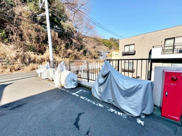 �����s�����q�s�ْ��̒��Ã}���V�����̂��̑����p��