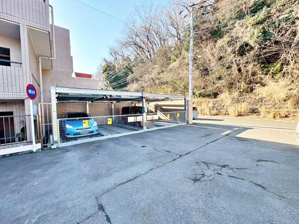 �����s�����q�s�ْ��̒��Ã}���V�����̉摜