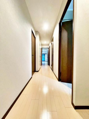 �����s�����q�s�ْ��̒��Ã}���V�����̂��̑�����