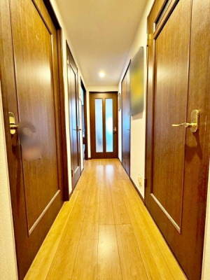 �����s�����q�s���R���̒��Ã}���V�����̂��̑�����