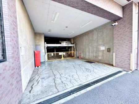 �����s�����q�s���R���̒��Ã}���V�����̉摜