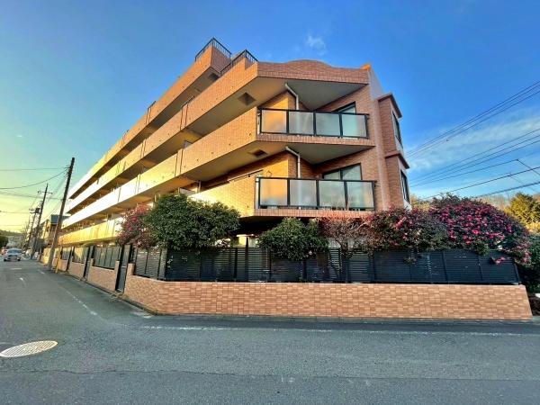 �����s�����q�s�z��̒��Ã}���V�����̌��n�O�ώʐ^